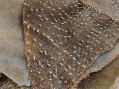 -马记伊源斋涮肉·清真菜(百子湾店)