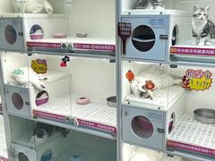 -lincat·猫舍(广州店)