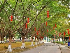 -广东外语外贸大学(白云山校区)