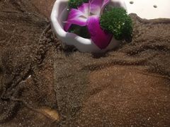 -巴蜀印象火锅(永陵总店)