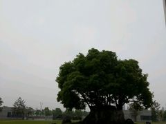 -苏州西交利物浦大学国际会议中心