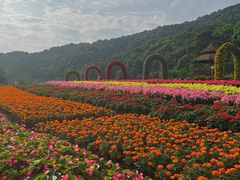 -广州市石门国家森林公园