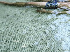 -上海玛雅海滩水公园