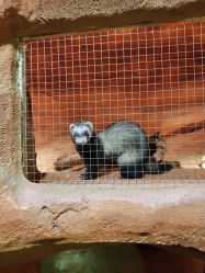 -酷嗒动物文化乐园(cutezoo西溪乐天城店)