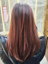 -悦SALON