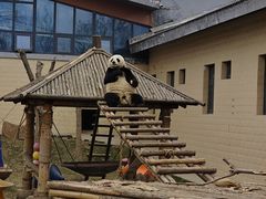 -石家庄市动物园