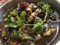 馋嘴牛蛙-乐友川味家常菜馆