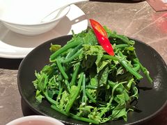 炝拌丝瓜尖-金鸭季·北京烤鸭(深业上城店)