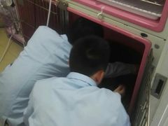 -瑞派雷欧宠物医院·24h夜诊·心脏骨科牙科·全科重症转诊中心(无影山店)