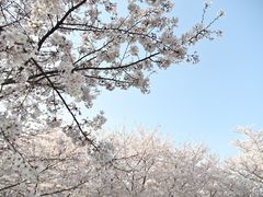 -龙美术馆(西岸馆)