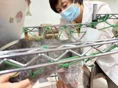 -北京观赏动物医院·24小时大型综合·猫专科·异宠专科