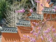 -天台山赤城山景区