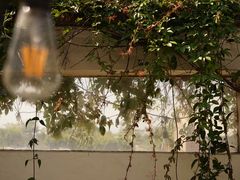 -翠田Green Field Kitchen