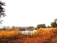 -前门老正兴总店
