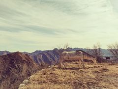 -圣莲山风景区