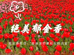 -石家庄市植物园