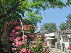 -萤火虫咖啡(后海店)