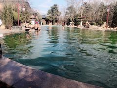 -东方华地城湿地温泉度假区