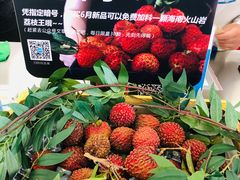 -Blueglass酸奶(财富购物中心店)