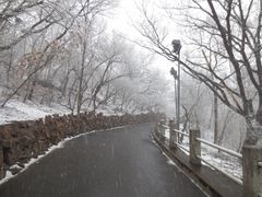 -北山公园