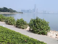 -深圳湾公园-停车场