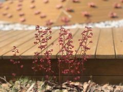 -蒙蒙狮蒙台梭利儿童之家
