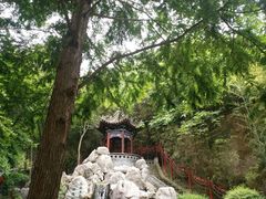 -西安曲江寒窑遗址公园
