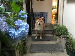 大福-About Bistro關於·泰式家庭料理