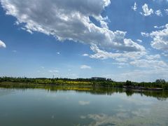 -东郊湿地公园
