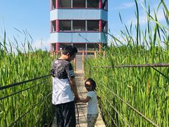 -河北村民俗体验园