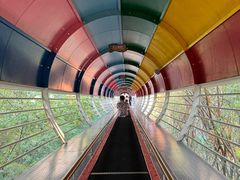 -墨江北回归线标志园
