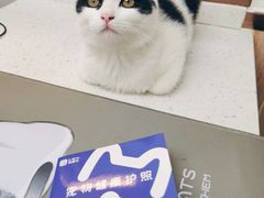 -宠颐生宠物医院·心肾内科·猫专科诊疗中心宠巢店