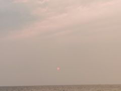 -贝壳沙滩