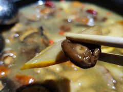 -野菌皇海景野生菌火锅(滨海大道店)