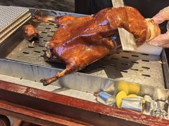 -羲和雅苑•北京烤鸭(平安国际金融中心店)