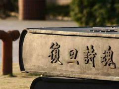 -复旦大学(张江校区)