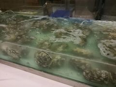 -东方广场假日酒店-蜀咖啡餐厅
