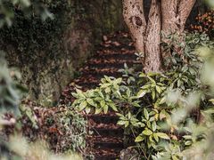 -北山街历史文化街区