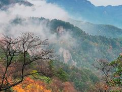 -洛阳白云山景区