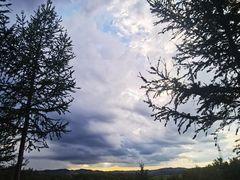 -塞罕坝国家级自然保护区