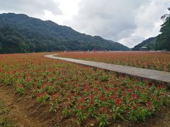 -广州市石门国家森林公园
