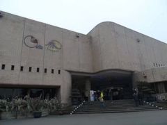 -自贡恐龙博物馆