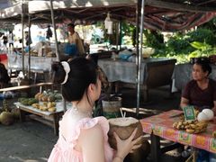 -西双版纳傣族园