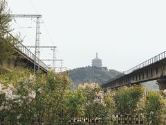 -永定河休闲森林公园