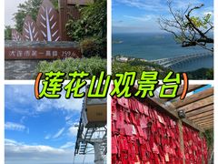 -莲花山观景台