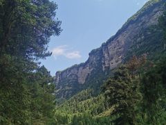 -重庆睡佛山森林公园