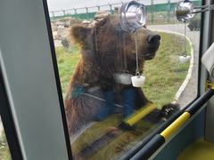 -鄂尔多斯野生动物园