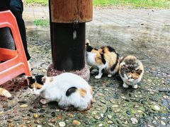 -敬亭山风景名胜区