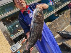 -浔味·山屿湖·正宗淳牌全鱼宴老字号