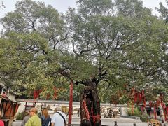 -杨家埠民间艺术大观园